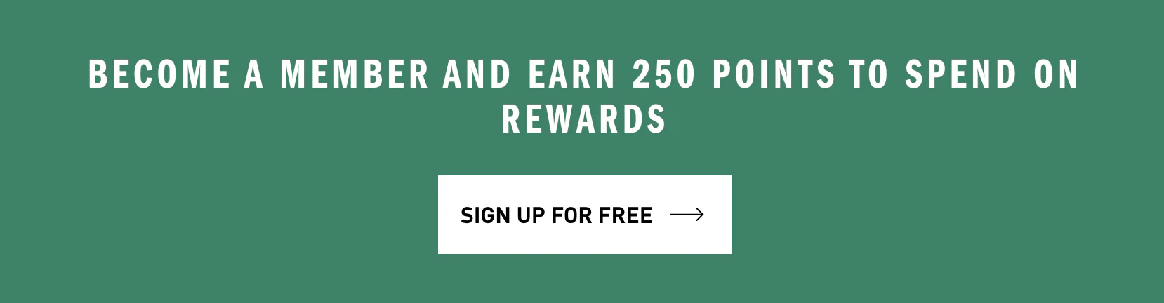 Discount example of adidas website.png