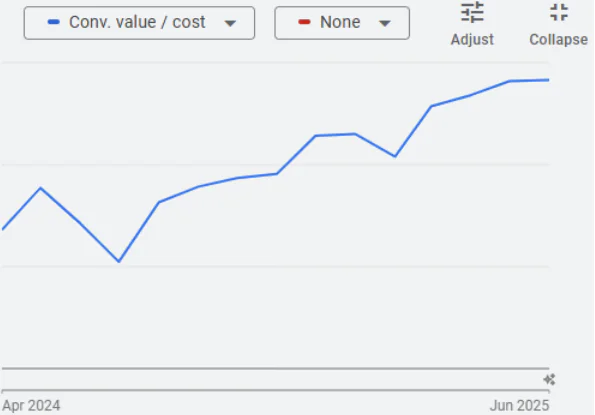Excellent roas on Google Ads